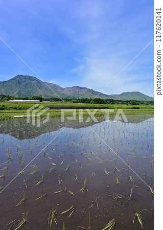從一宮町眺望阿蘇山 117620141