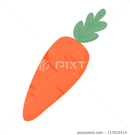 hand drawn vegetables carrot  117620514