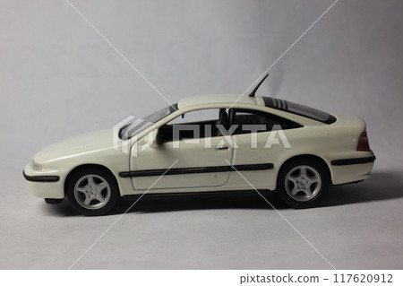 微型車 117620912