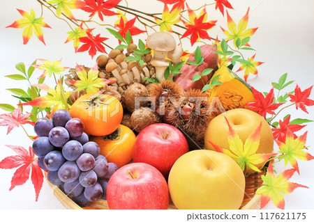 秋天的成分 117621175