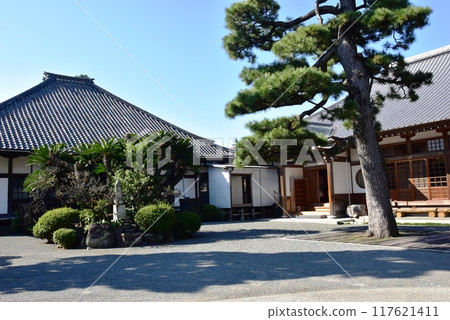 沼津市松陰寺大殿和松樹 117621411