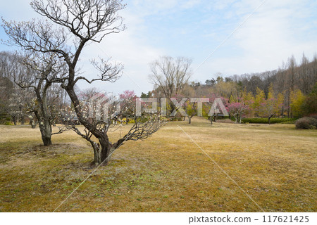 我去了福島機場公園#52 117621425