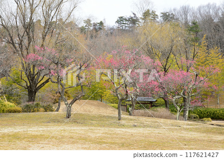 我去了福島機場公園#54 117621427