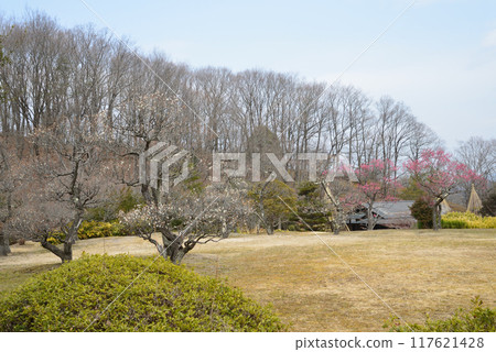 我去了福島機場公園#55 我去了福島機場公園#55 117621428
