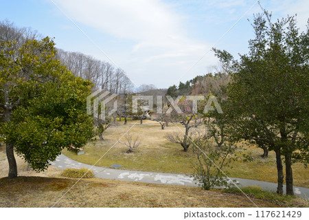 我去了福島機場公園#56 我去了福島機場公園#56 117621429
