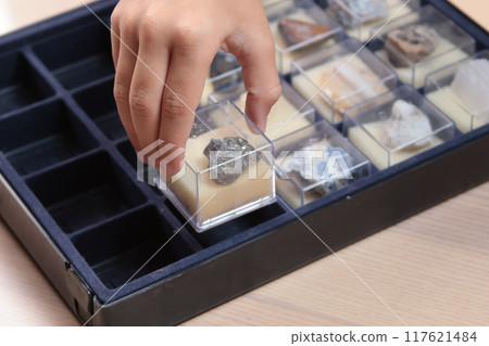 School girl study collection of rocks and minerals. School and learning. Useful resources. Young geologist.  117621484