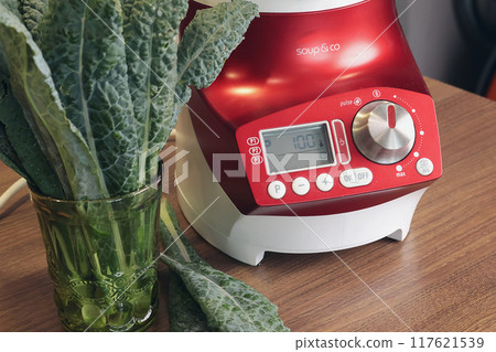 Electric soup maker for making pureed vegetable soup. Useful cream soup and healthy eating. Cooking at home in kitchen. Home smart equipment. Electric soup maker for making pureed vegetable soup. Useful cream soup and healthy eating. Cooking at home in kitchen. Home smart equipment. 117621539