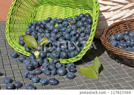 Fresh blueberries in basket in background. Summer and harvest. Useful nutrition, vitamins and food.  117621569