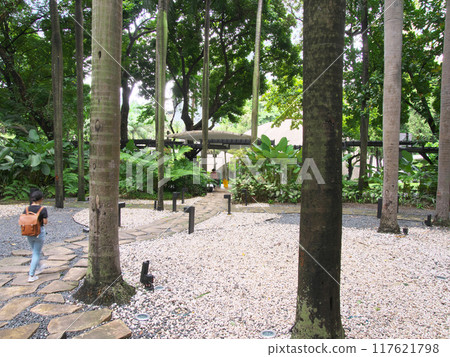 活力菲律賓-馬尼拉/馬卡蒂購物中心城市景觀(2023年9月) 活力菲律賓-馬尼拉/馬卡蒂購物中心城市景觀(2023年9月) 117621798