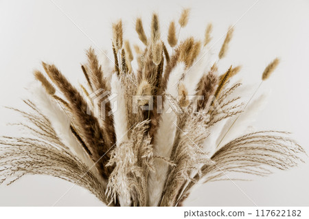 Bouquet of decorative dried pampas grass on a light background, close-up. 117622182