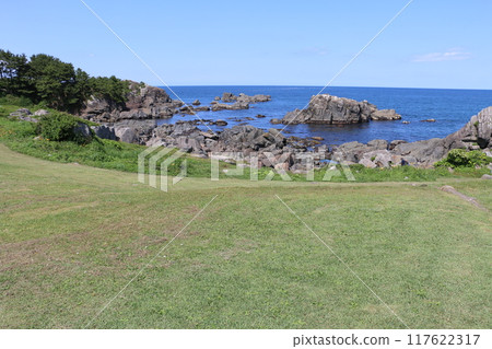 A natural lawn that represents the scenery of Tanesashi Coast A natural lawn that represents the scenery of Tanesashi Coast 117622317