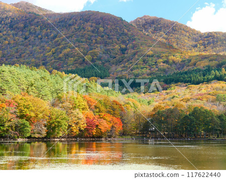 紅葉的觀音沼森林公園（福島縣南會津郡） 117622440