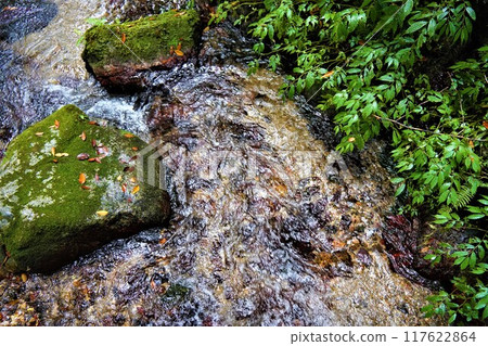 The famous water of Uriwari Falls The famous water of Uriwari Falls 117622864