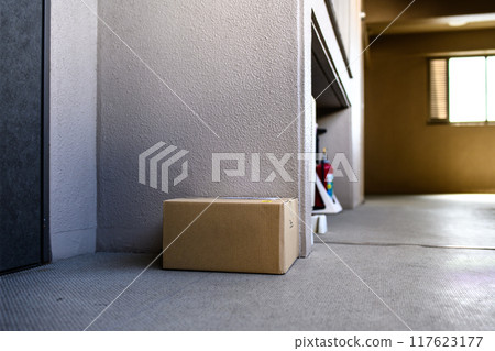 剩餘紙板、交付的紙板包裹、房子前面、公寓入口、走廊外 剩餘紙板、交付的紙板包裹、房子前面、公寓入口、走廊外 117623177