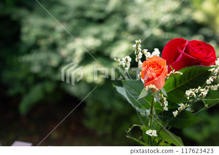 A bouquet of roses 117623423
