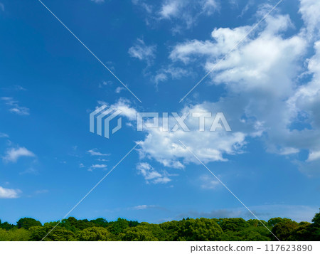 Summer blue sky and white clouds 117623890