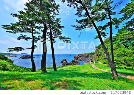 Echizen Matsushima Echizen Matsushima 117623948