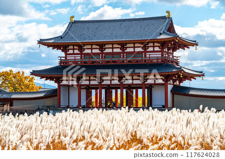 [Nara Prefecture] The Suzaku Gate of Heijo Palace is beautiful with its shining silver grass 117624028