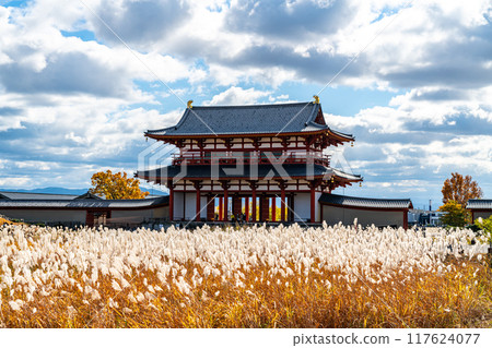 [奈良郡] 閃耀的蒲葦和平城宮的朱雀門 117624077