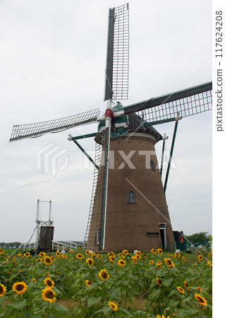 Windmill and sunflower 117624208