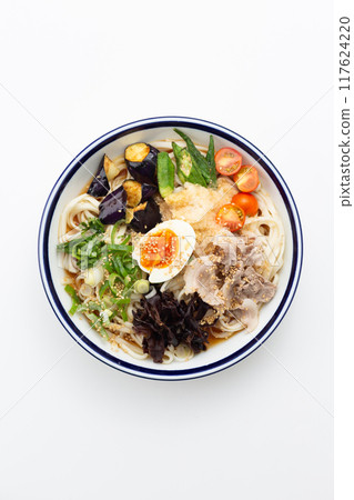 Cold udon noodles with summer vegetables and pork shabu-shabu Cold udon noodles with summer vegetables and pork shabu-shabu 117624220