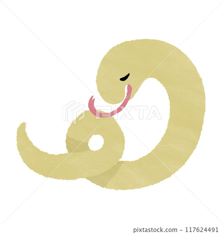 卷蛇黃（有紋理） 117624491