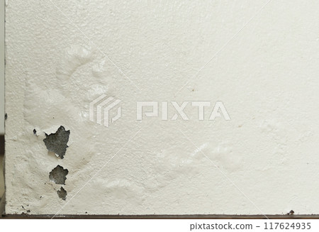 Paint peeling and swelling from moisture Paint peeling and swelling from moisture 117624935
