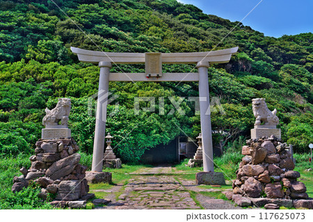 Torii gate of Oshima 117625073