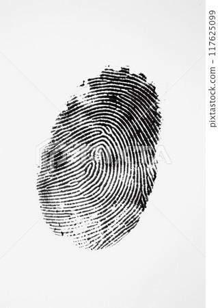 指紋背景 指紋背景 117625099