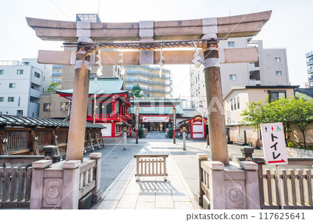 "Tokyo" Asakusa, Washi Shrine 117625641