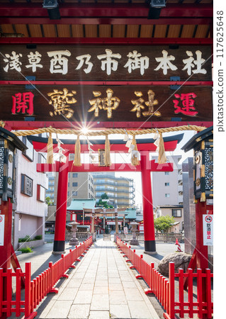 "Tokyo" Asakusa, Washi Shrine 117625648