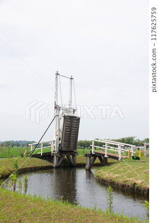 Bridge 117625759
