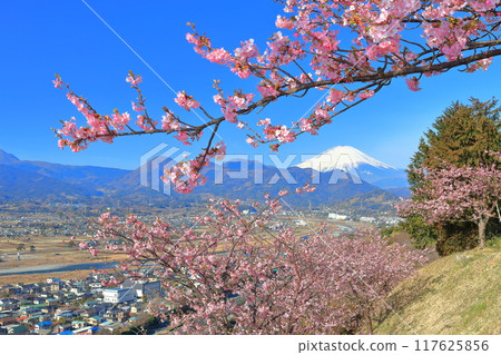[神奈川縣]富士山晴空與河津櫻花（松田櫻花節） 117625856