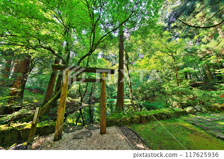 平山寺白山神社禦堂洗池 117625936