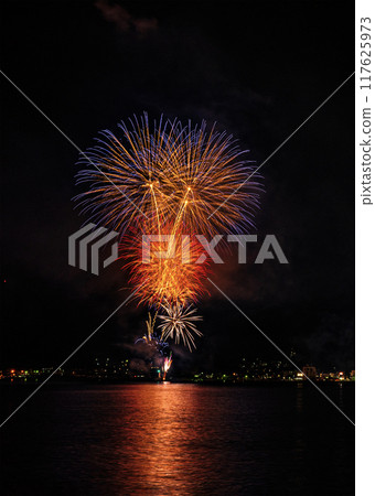 伊東市安津祭煙火大會 伊東市安津祭煙火大會 117625973