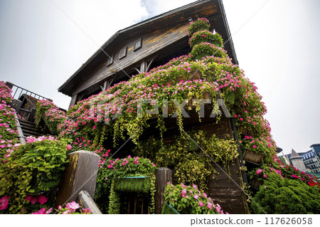 This is a beautiful view of Bana Hills Theme Park, a famous tourist attraction in Vietnam. 117626058