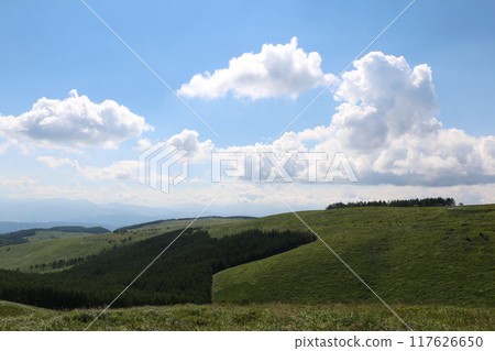 Summer scenery of Kurumayama Plateau 117626650