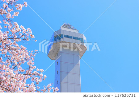 Skyward Asahi and cherry blossoms in Owariasahi, Aichi Prefecture Skyward Asahi and cherry blossoms in Owariasahi, Aichi Prefecture 117626731