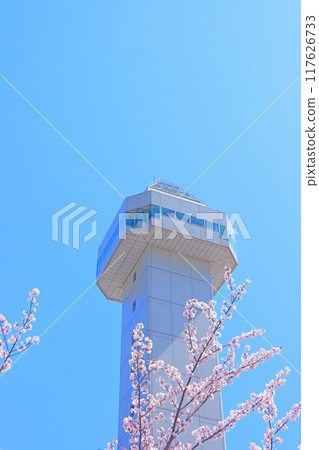 Skyward Asahi and cherry blossoms in Owariasahi, Aichi Prefecture 117626733
