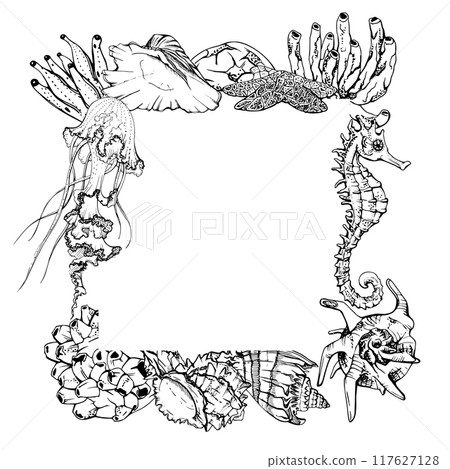 Marine life, sea ocean underwater creatures fish, shells algae seaweed, Ink and pen sketch hand drawn. Border frame illustration, stylized, isolated on white. For zoo shop, aquarium, cosmetics, resort 117627128