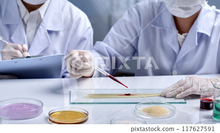 A yellow hair sample on a glass tray is being dropped by the scientist drop by drop of a red substance. The remaining scientist is carefully taking notes. Scene of hair research in the laboratory A yellow hair sample on a glass tray is being dropped by the scientist drop by drop of a red substance. The remaining scientist is carefully taking notes. Scene of hair research in the laboratory 117627591