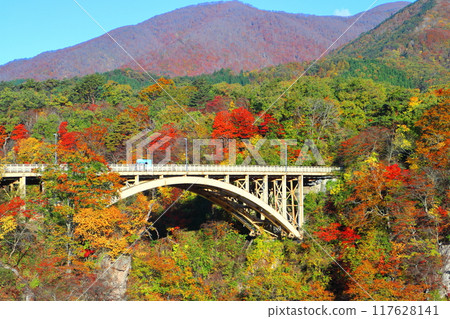 [Miyagi] Autumn leaves of Narukokyo bathed in the Asahi 117628141