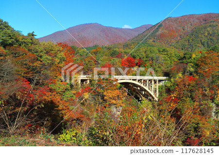 [宮城]火影忍者的紅葉沐浴在旭 117628145