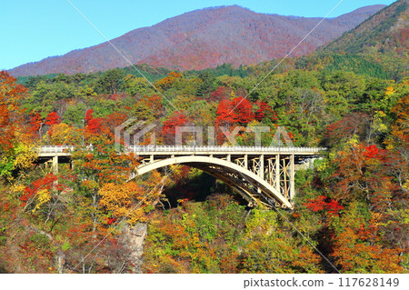 [Miyagi] Ohfukasawa Bridge in Narukokyo 117628149