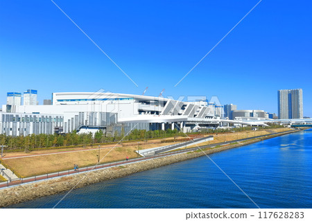 [Tokyo] Toyosu Market (fish wholesale market) on a clear day 117628283