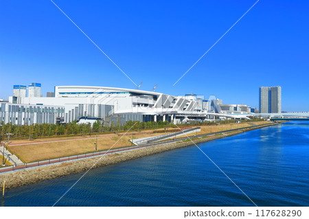 [Tokyo] Toyosu Market (fish wholesale market) on a clear day 117628290