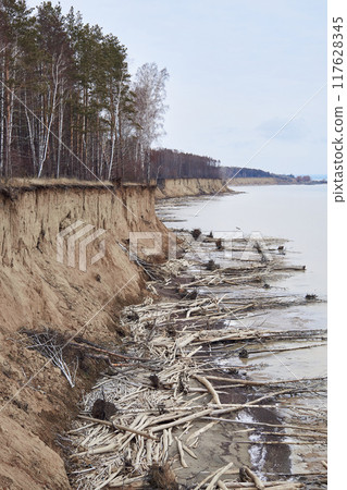 The water is eroding the coast. Trees fallen from a cliff lie on the seashore.  117628345
