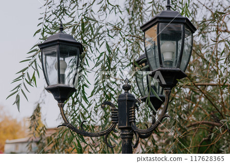 Old style street flashlight on metal pole. Lantern with LED bulbs light in the park, willow tree against the background 117628365
