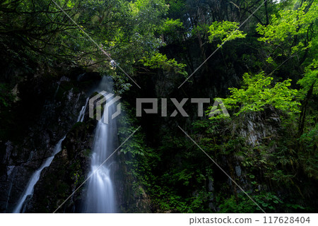 Gorogoro Falls, Gifu Prefecture 117628404