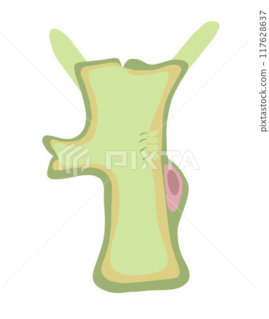 Vector isolated illustration of hydra structure on white background. 117628637